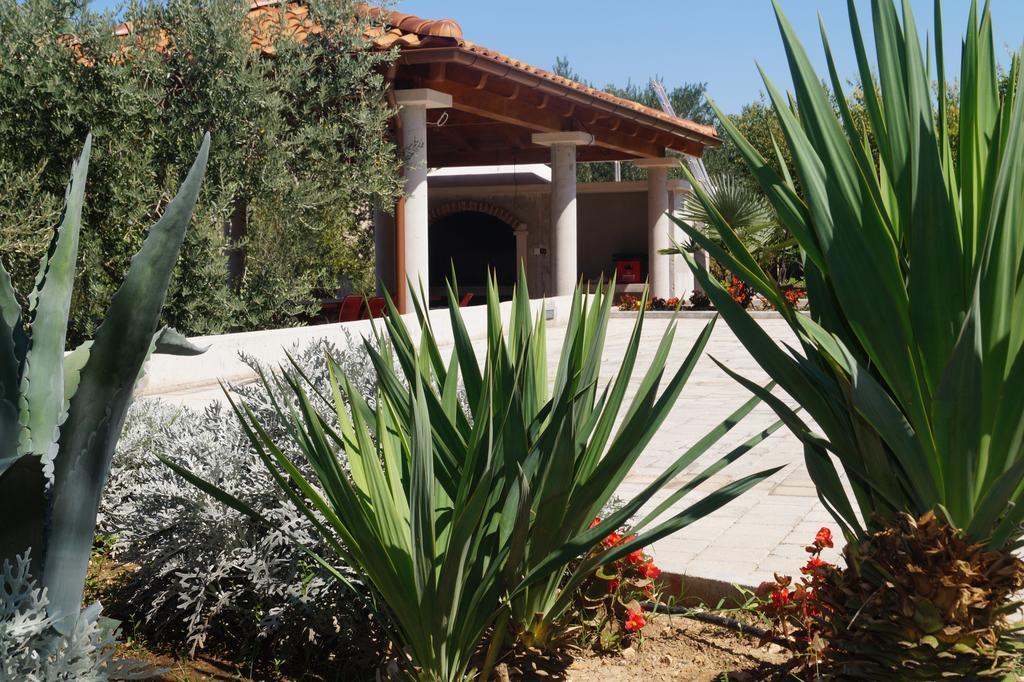 Apartments Tomic Biograd Na Moru Cameră foto